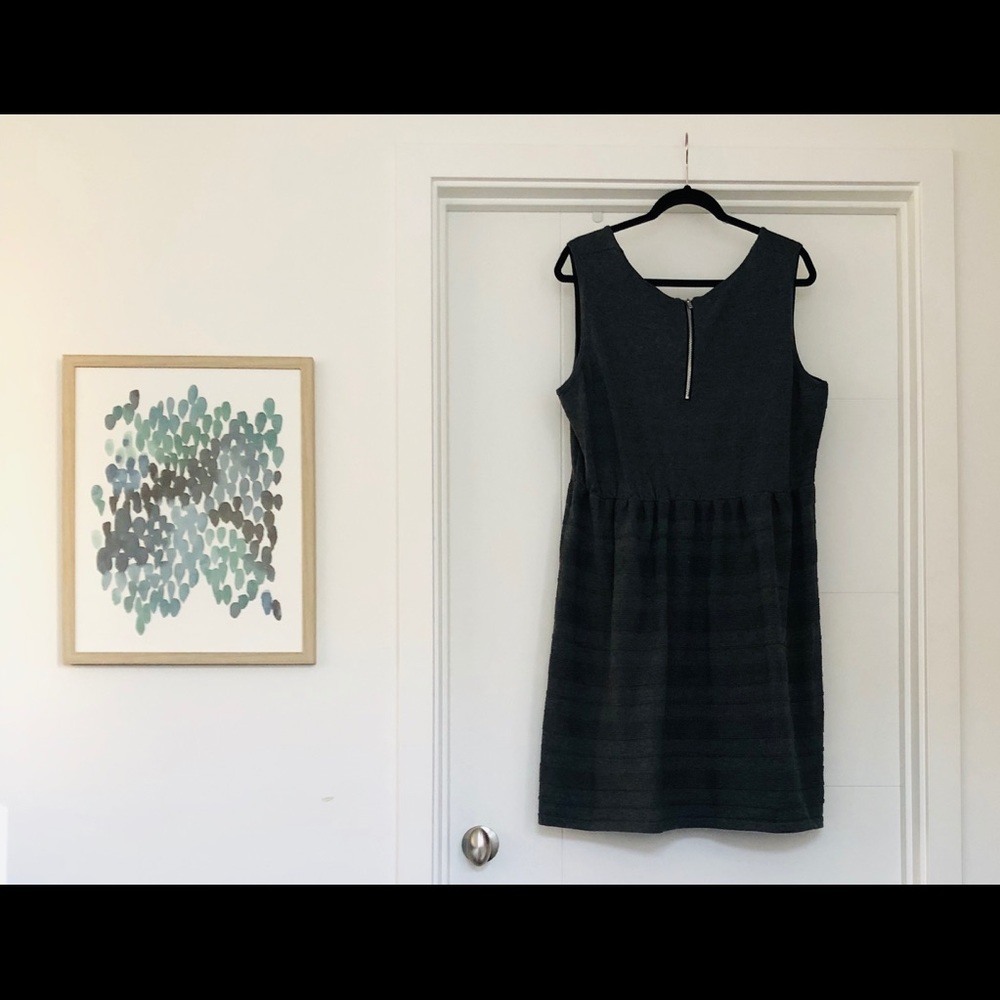 Lane Bryant Gray Skater Dress
